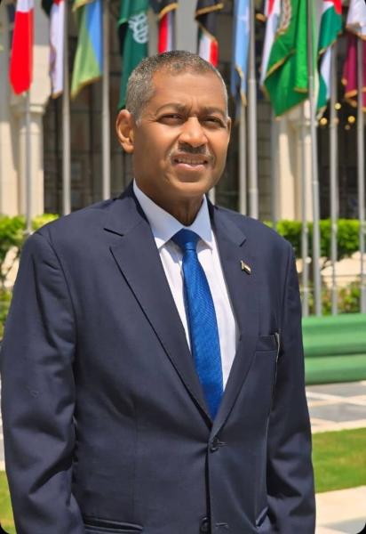 عماد عدوي : قضايا السودان ستكون مطروحة امام القمتين السياسية والاقتصادية ببغداد الأسبوع المقبل