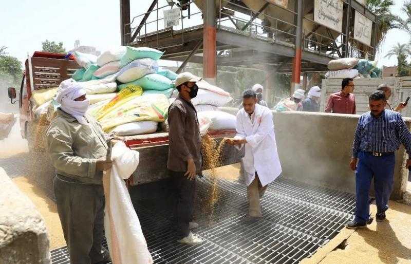 محافظ سوهاج : صرف مليار و783 مليون جنيه مستحقات للمزارعين