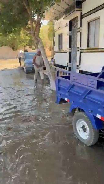 النهار نيوز