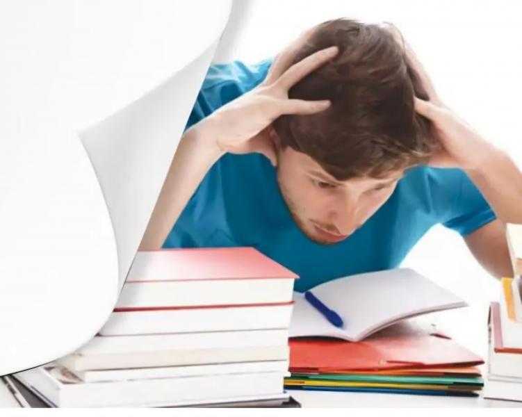 احمد قنديل يكتب - ”البكالوريا” إسم مركب يشير إلى عائلة يهودية وحيوان يشبه الخنزير !!!