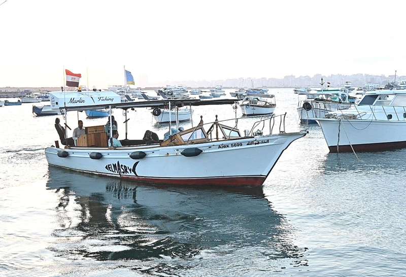 النهار نيوز