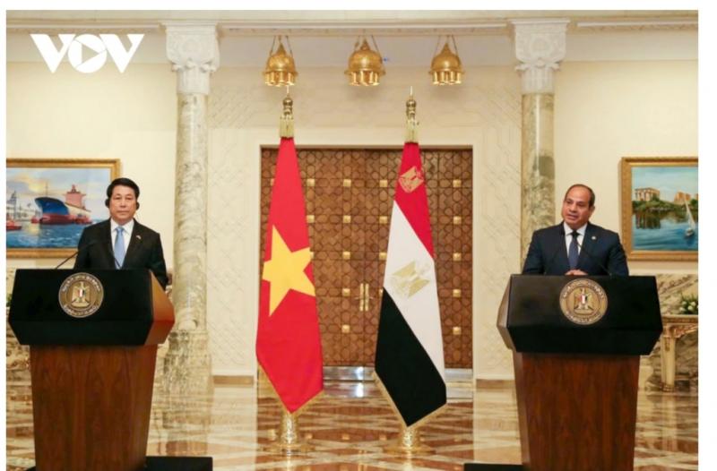 رئيس جمهورية فيتنام يصدر بيانًا صحفيًا عقب اجتماعه مع رئيس وزراء جمهورية مصر