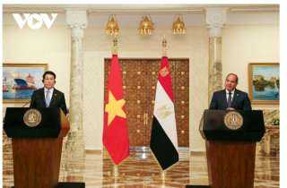 رئيس جمهورية فيتنام يصدر بيانًا صحفيًا عقب اجتماعه مع رئيس وزراء جمهورية مصر