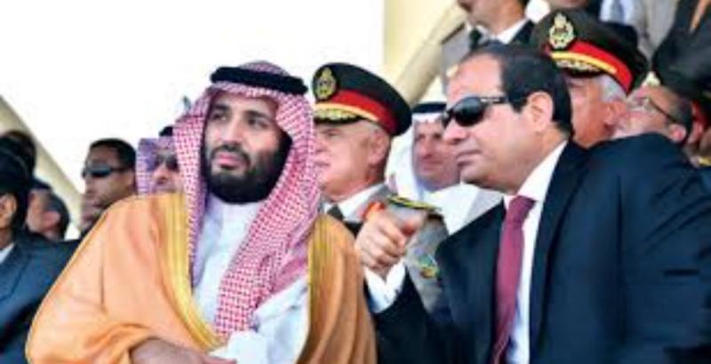 النهار نيوز