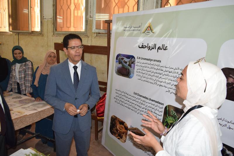 النهار نيوز