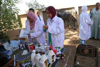 جامعة الفيوم تنظم قافلة بيطرية بقرية الناصرية بمركز الفيوم