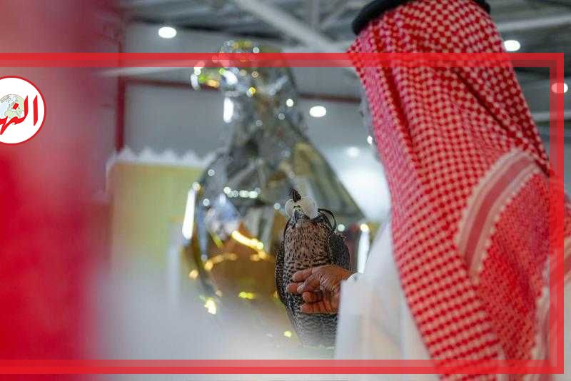 انطلاق معرض الصقور والصيد السعودي الدولي بأكثر من 23 فعالية ومشاركة 1300 عارض من 45 دولة