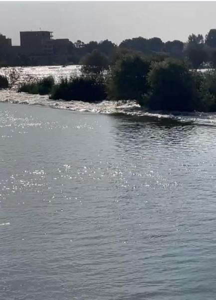 النهار نيوز