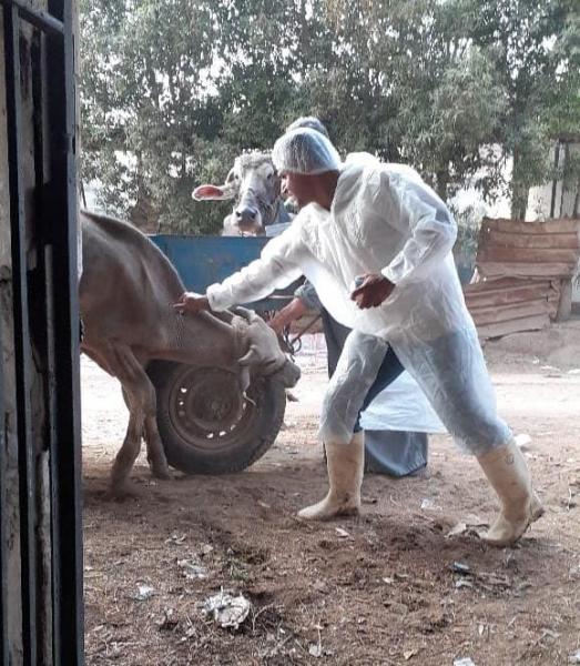 النهار نيوز