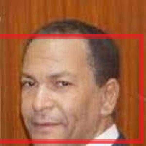 الشاعر بكري دردير يكتب: حبيبتي