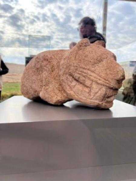 رحلةً فريدةً تصل إلى قلب التاريخ البشري.. مشروع تاش تيبيلر يتحول إلي عاصمةً عالميةً للعصر الحجري الحديث