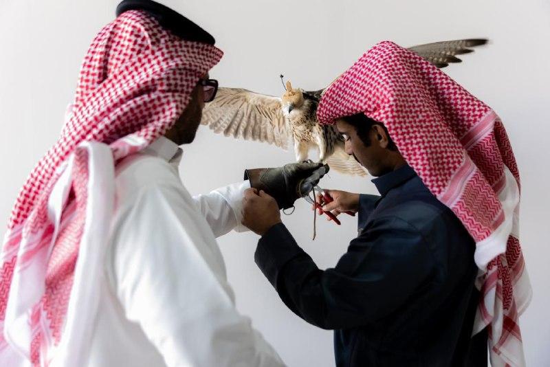 النهار نيوز