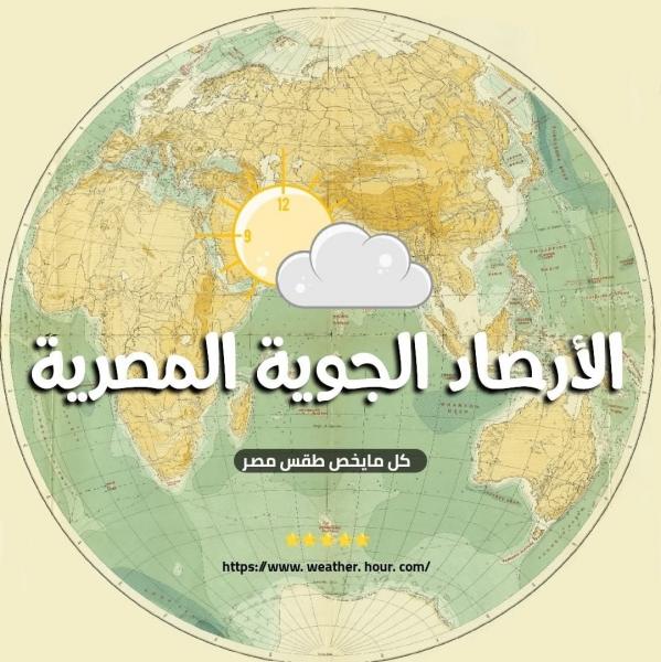 النهار نيوز