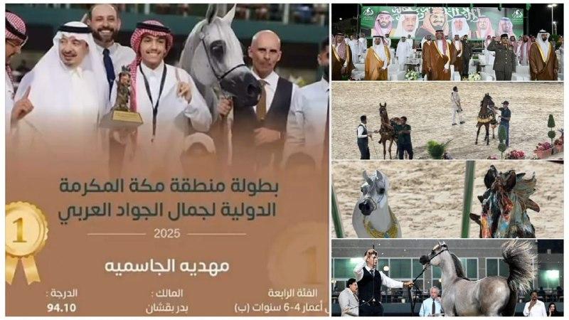 النهار نيوز