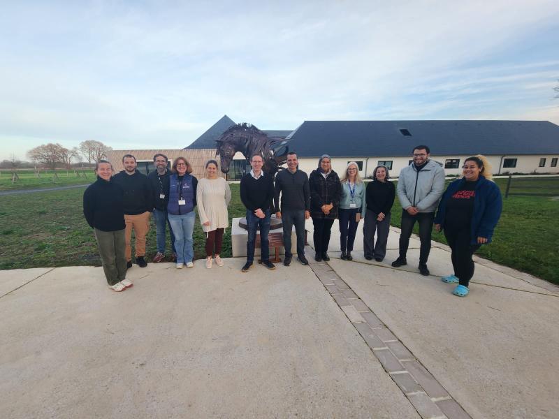 النهار نيوز