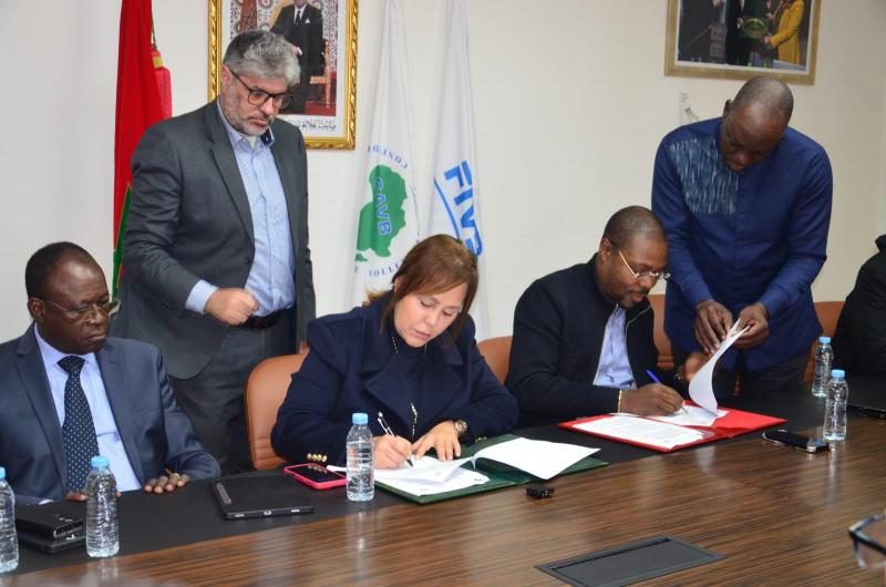 النهار نيوز