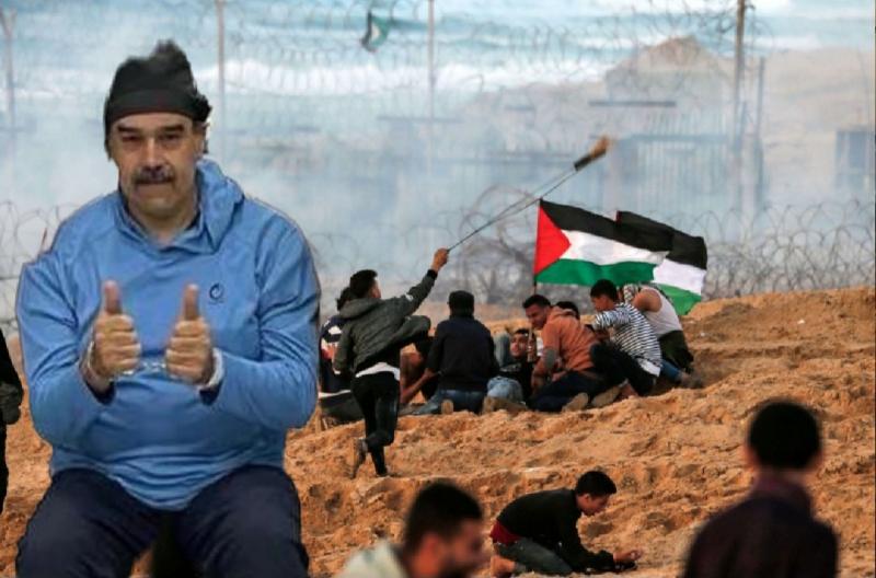 النهار نيوز