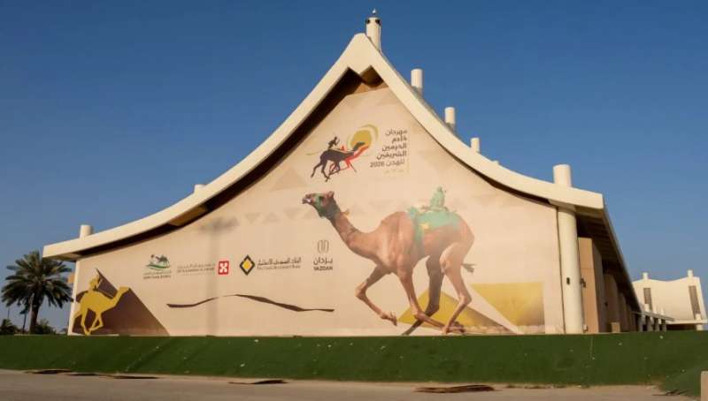 النهار نيوز