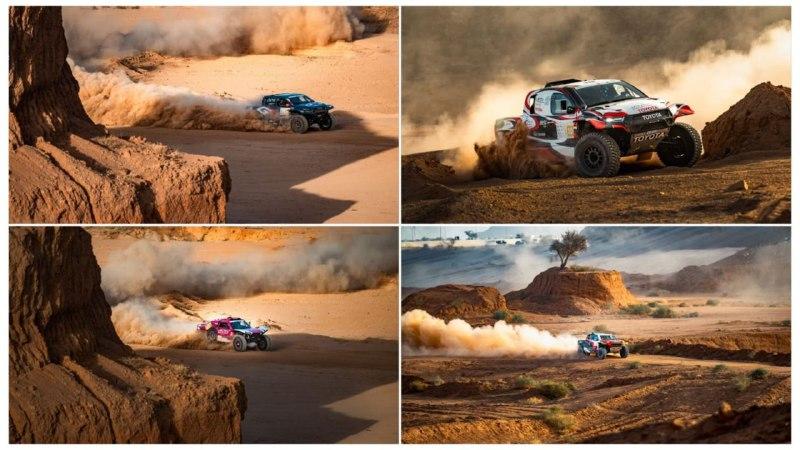 النهار نيوز