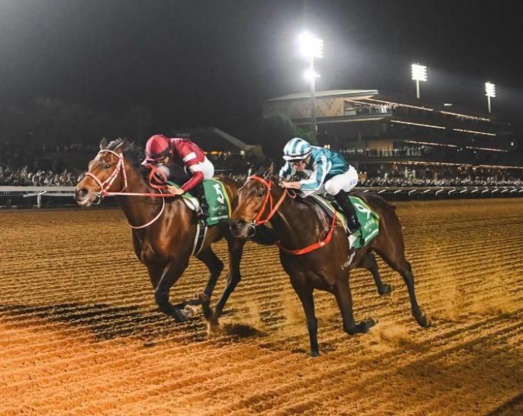 النهار نيوز