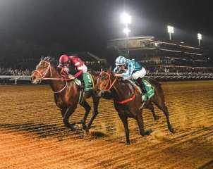 ”فوريفر يونق” يعود لمواجهة المنافسين على كأس السعودية ويتحدى ثنائي المدرب باشرت