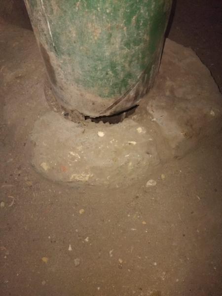 النهار نيوز