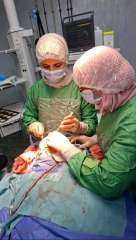 ملحمة طبية لإنقاذ الطفلة ”رحمة كشك” .. تكاتف 7 تخصصات طبية يعيد الأمل لأسرة الطفلة .