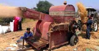 اول ضحية لمحصول القمح .. ماكينة الدراس سحبت فتاة بتلا