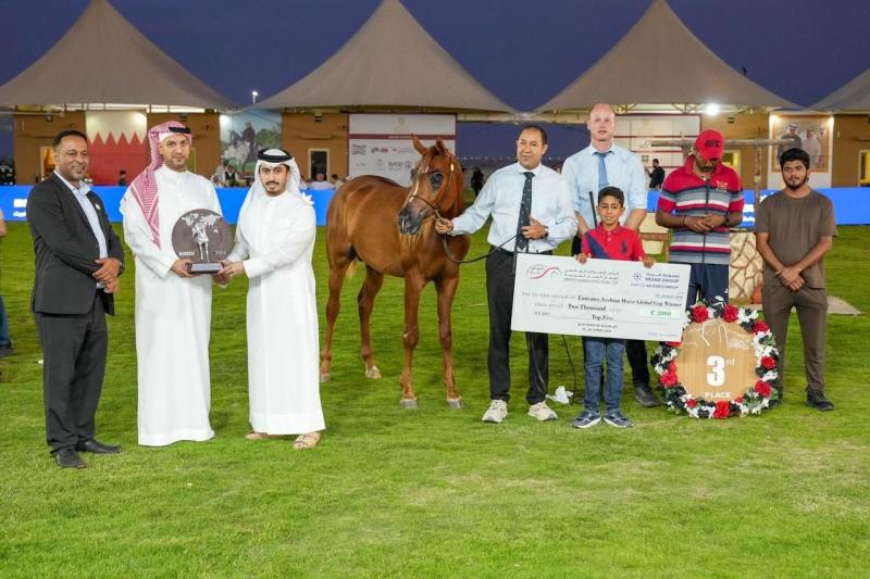 النهار نيوز