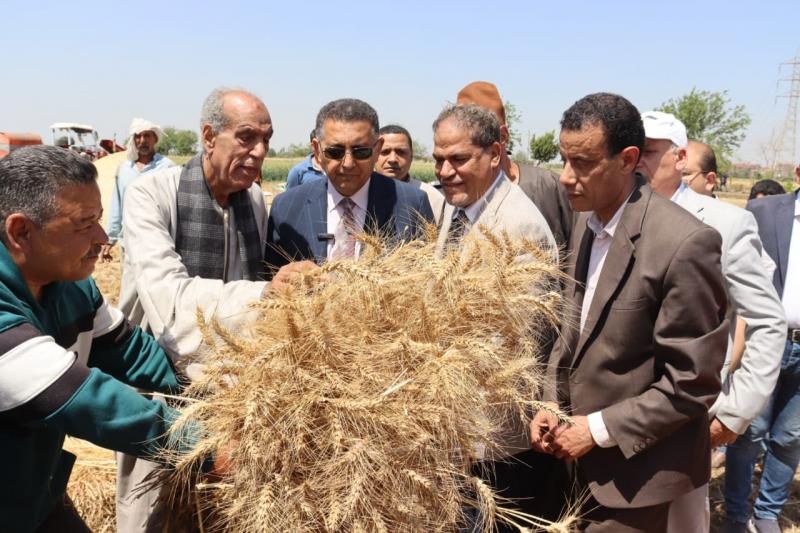 النهار نيوز