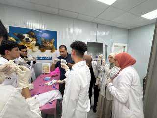 المستشفى البيطري التعليمي بجامعة المنوفية الأهلية يواصل استقبال الحالات وسط توافد كبير من المواطنين