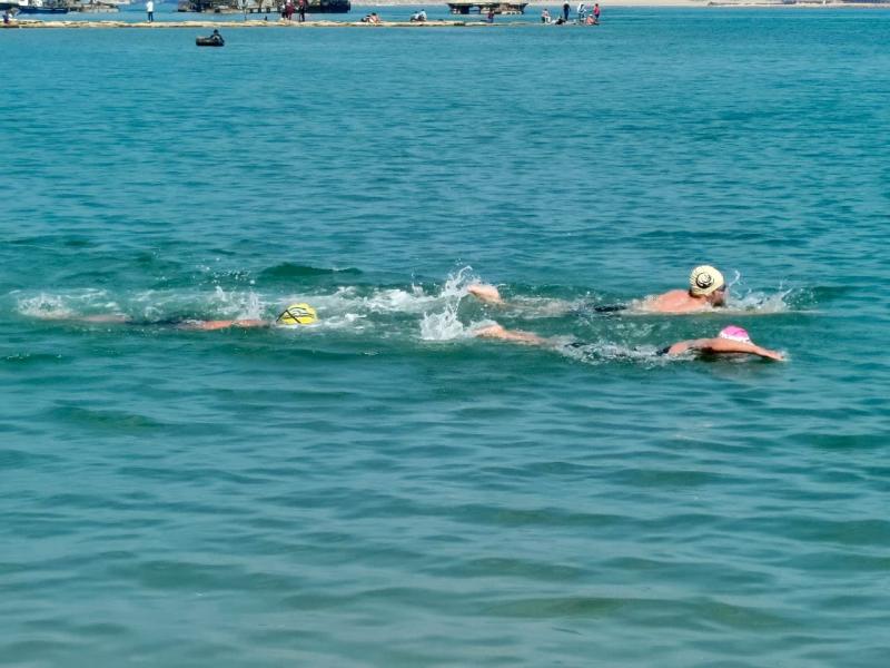 النهار نيوز