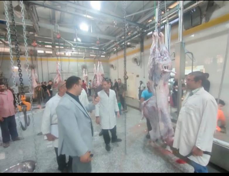 النهار نيوز