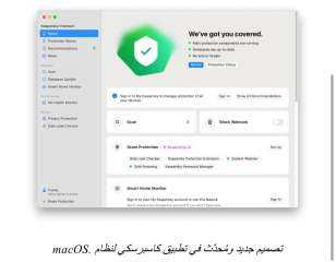 كاسبرسكي : أكثر من نصف مستخدمي الإنترنت في مصر واجهوا عمليات احتيال