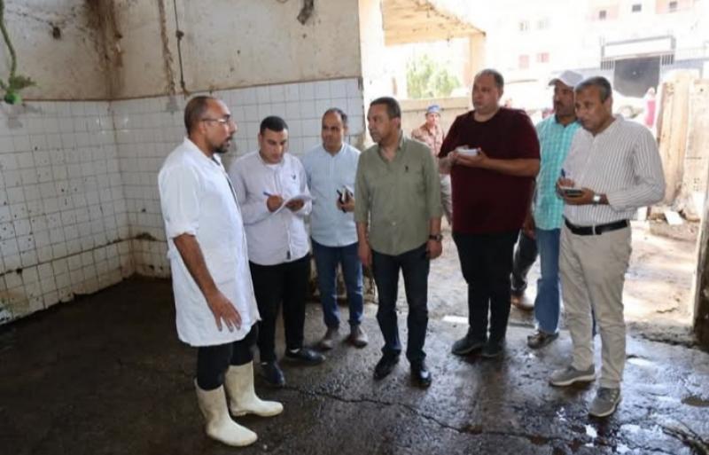 النهار نيوز