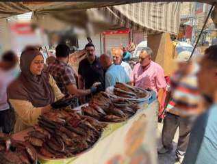 ضبط طن أسماك فاسد في حملة مكبرة بمنوف