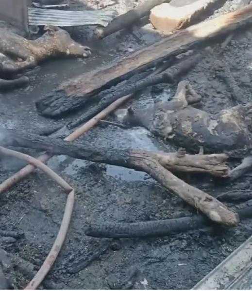 حريق هائل وتفحم 6 رؤوس ماشية وعددًا من الأغنام والطيور بطوخ