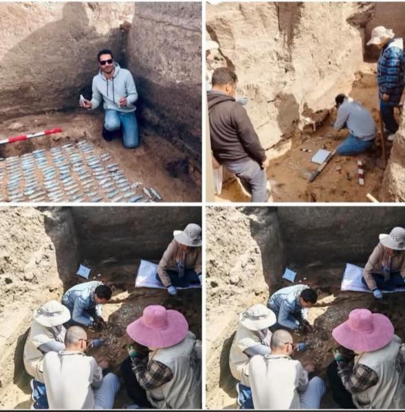 النهار نيوز