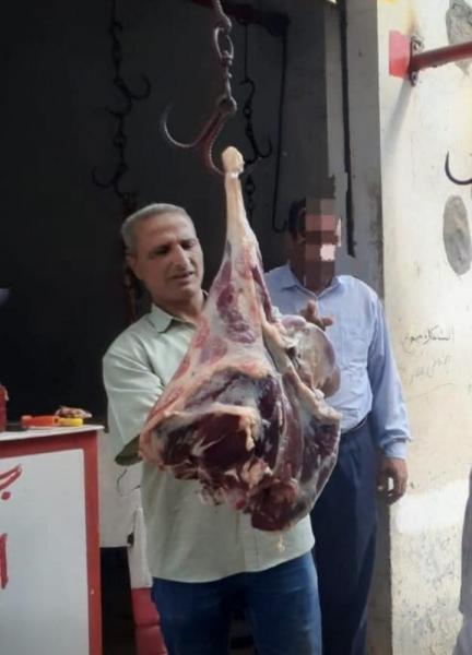 النهار نيوز
