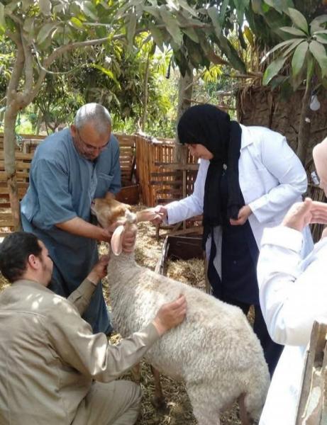 النهار نيوز