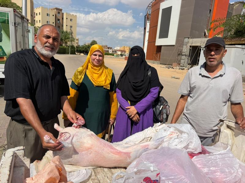 النهار نيوز