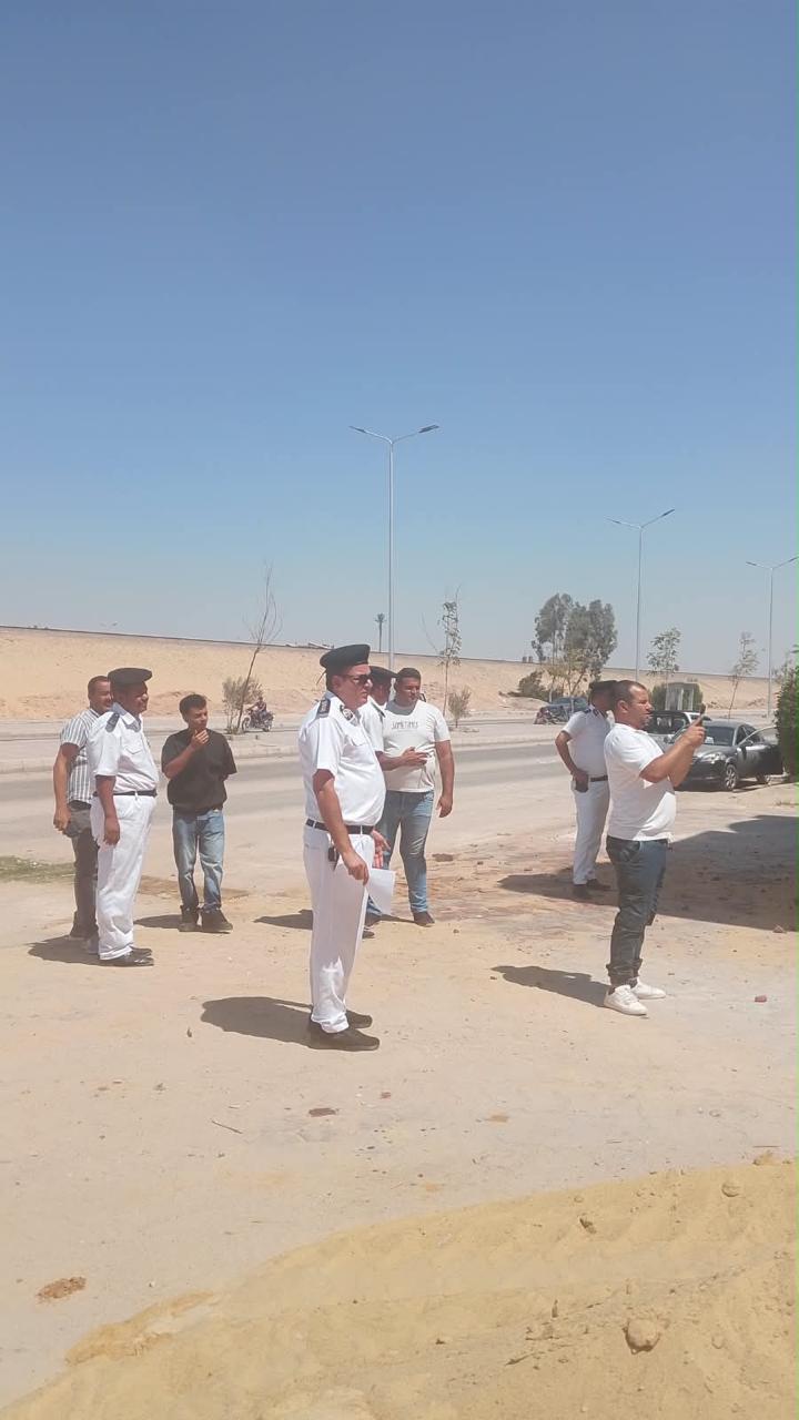 1d6e54ef61d8.jpg